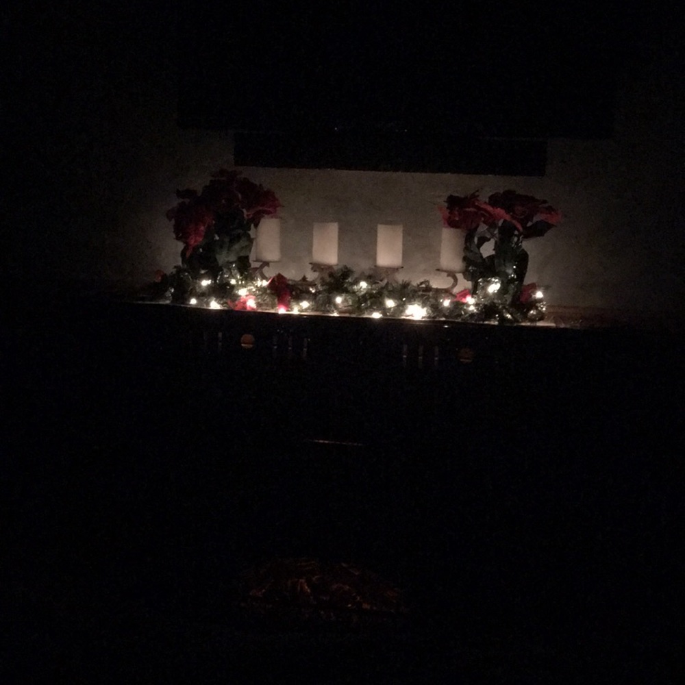 Meet your Posher, Rose